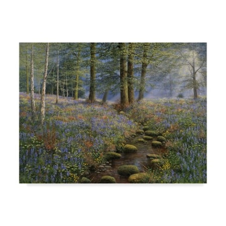 Bill Makinson 'Bluebell Wood' Canvas Art,14x19